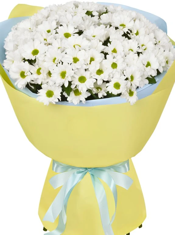 Büyük Sarı Kağıtta Papatya Buketi