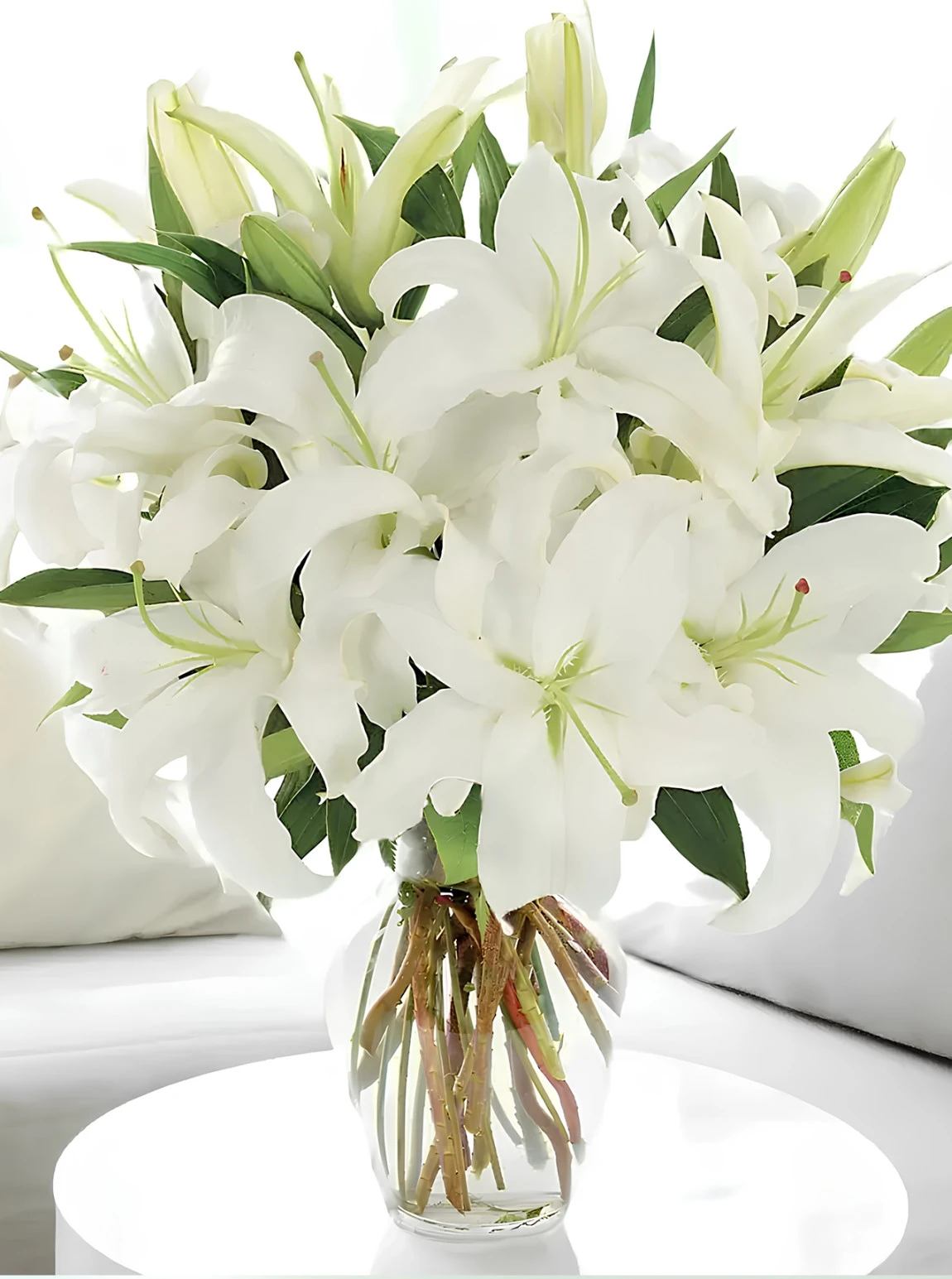 Vazoda Büyük Boy Lilyumlar